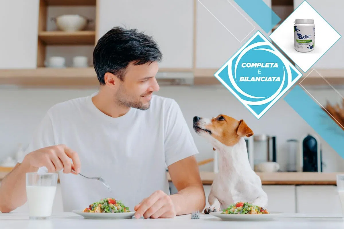 Q.DIET COMPENSA ULTRA