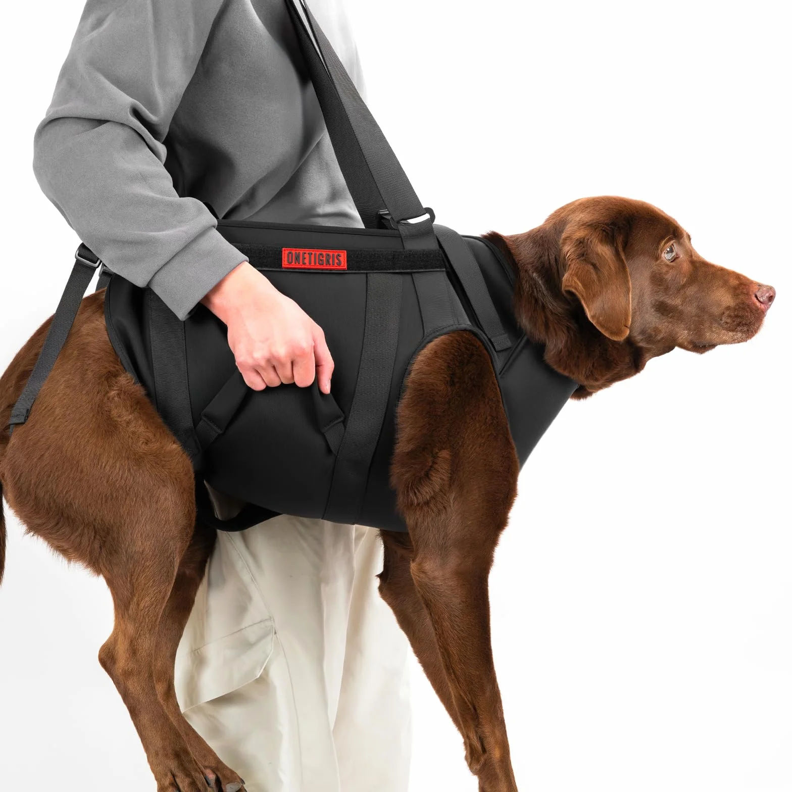 OneTigris Imbracatura per sollevamento cani, pettorina di supporto per cani anziani, feriti e riabilitanti, protegge le articolazioni, traspirante e regolabile, con cinghie imbottite e maniglie per il