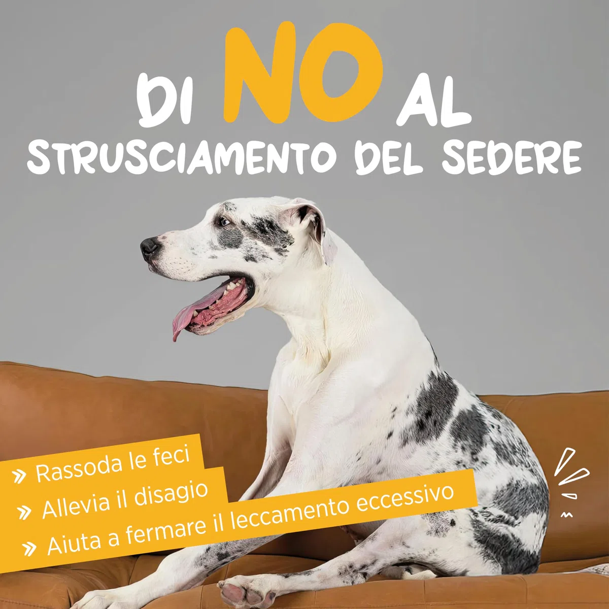 maxxipaws maxxiscoot Ghiandole Perianali e Apparato Digerente - Integratore per Cani, 140g