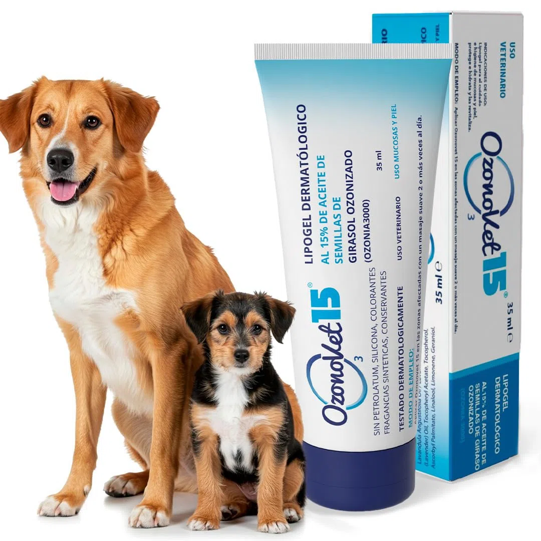 Gel Cicatrizzante Ozonizzato Per Cani e Gatti Allevia Prurito Dermatite Allergie Ferite e Bruciature - Cicatizzante Idratante Senza Lasciare Effetti Secondari E Controindicazioni - 35 ml - 1 Unità