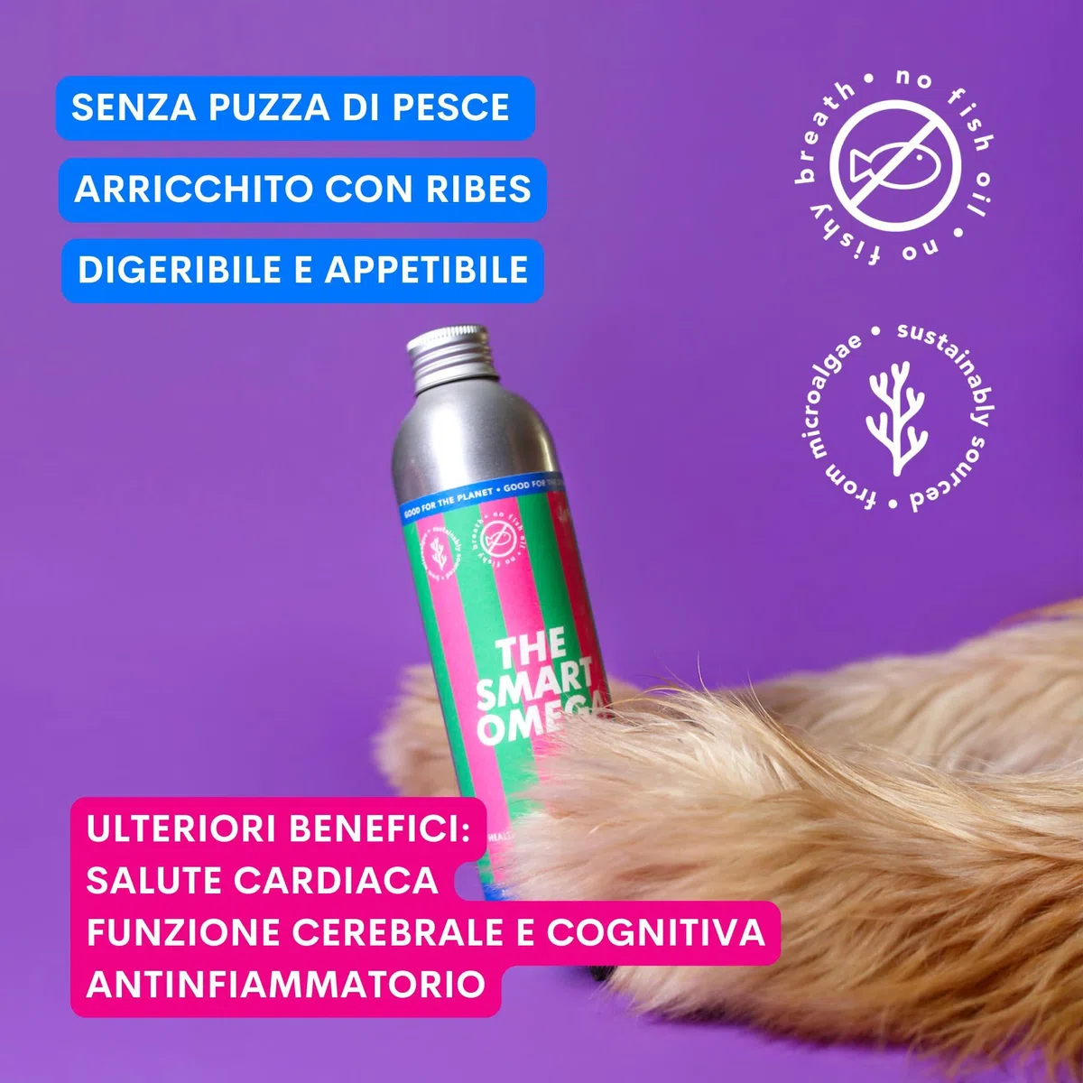JAMPY The Smart Omega - Omega3 Vegano Senza Ritorno di Gusto e Odore di Pesce - Integratore per Pelle, Pelo, Prurito. Base di Microalghe e Ribes. Antiossidante, Ipoallergenico. PLASTIC-FREE Pack.