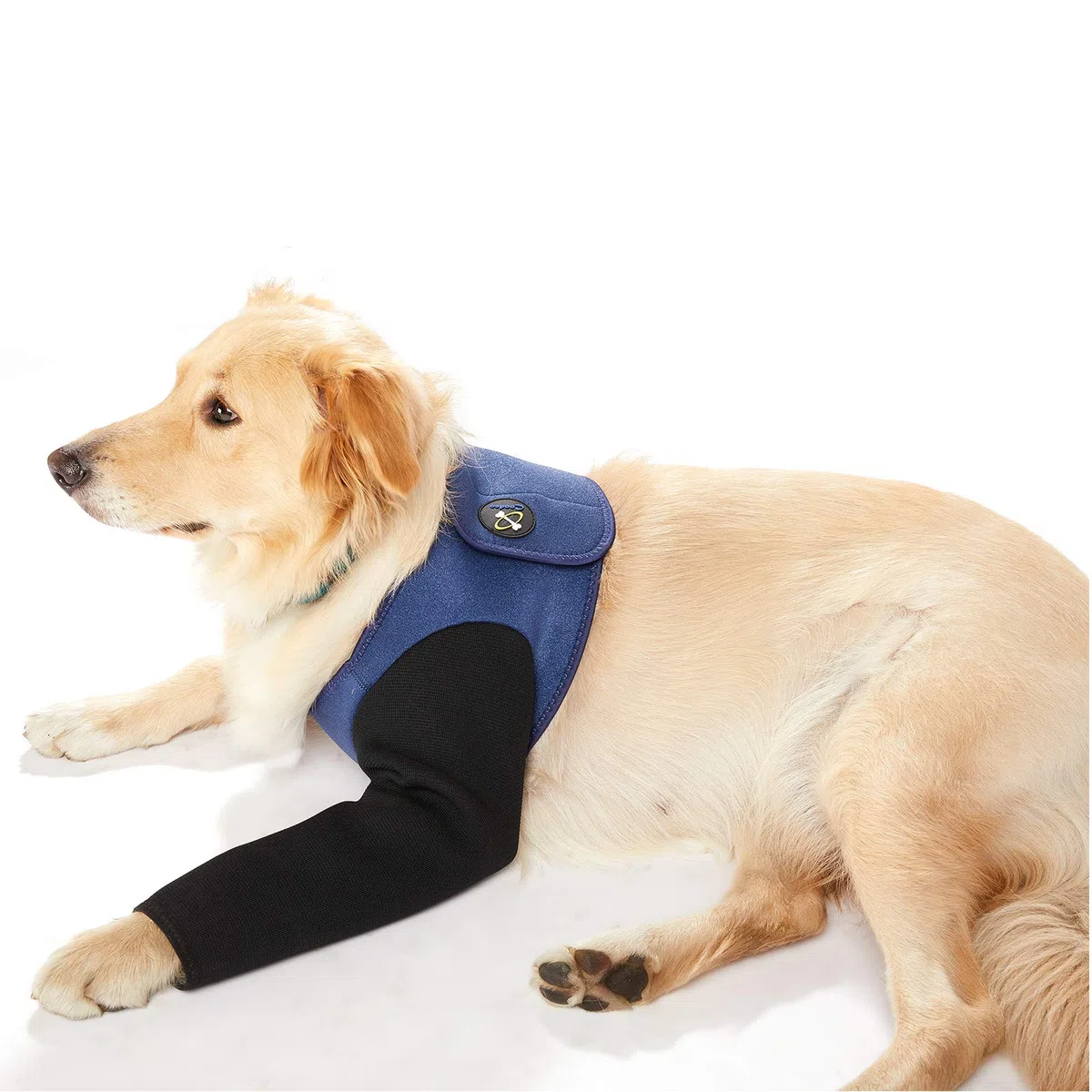 Coodeo Costume di Recupero per Cani, Alternativa al Collare a Cono, Manica Resistente per Solo le Zampette Anteriori, Lavabile e Impermeabile, Previene Leccate e Morsi, Mantiene Asciutto. (Blu, XL)