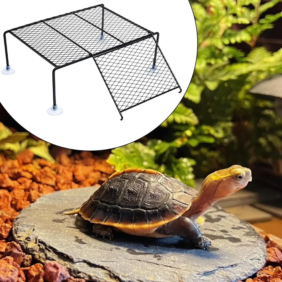 Piattaforma per tartarughe per acquario, decorazione rampa con – Isola solare 'acquario di tartaruga – Adatto per ristorante, soggiorno, balcone, terrazzo, tritone, granchi e tortois