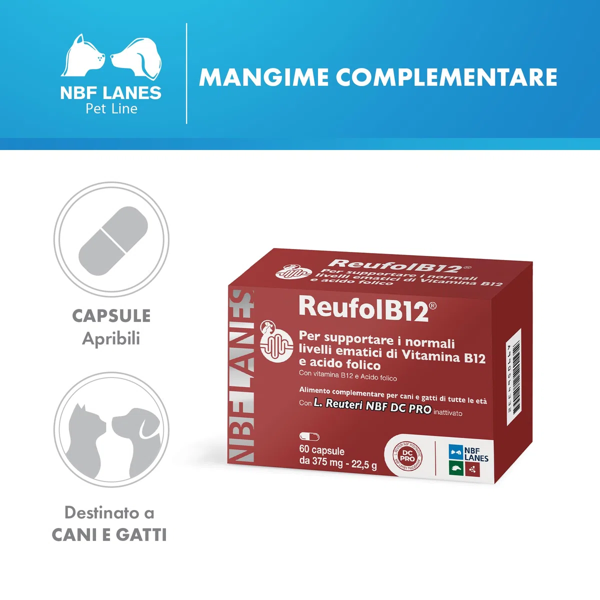 NBF LANES | ReufolB12 Cane e Gatto, 60 Capsule Appetibili, Supporto Vitamina B12 e Acido Folico Intestinale