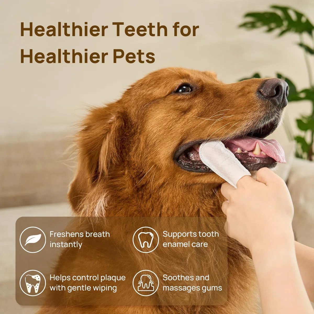 HICC PET Salviette dentali per cani e gatti, salviette per rimuovere placca e tartaro senza spazzolino, rinfresca l'alito, lenisce le gengive con olio di cocco, senza alcool e sicure da leccare