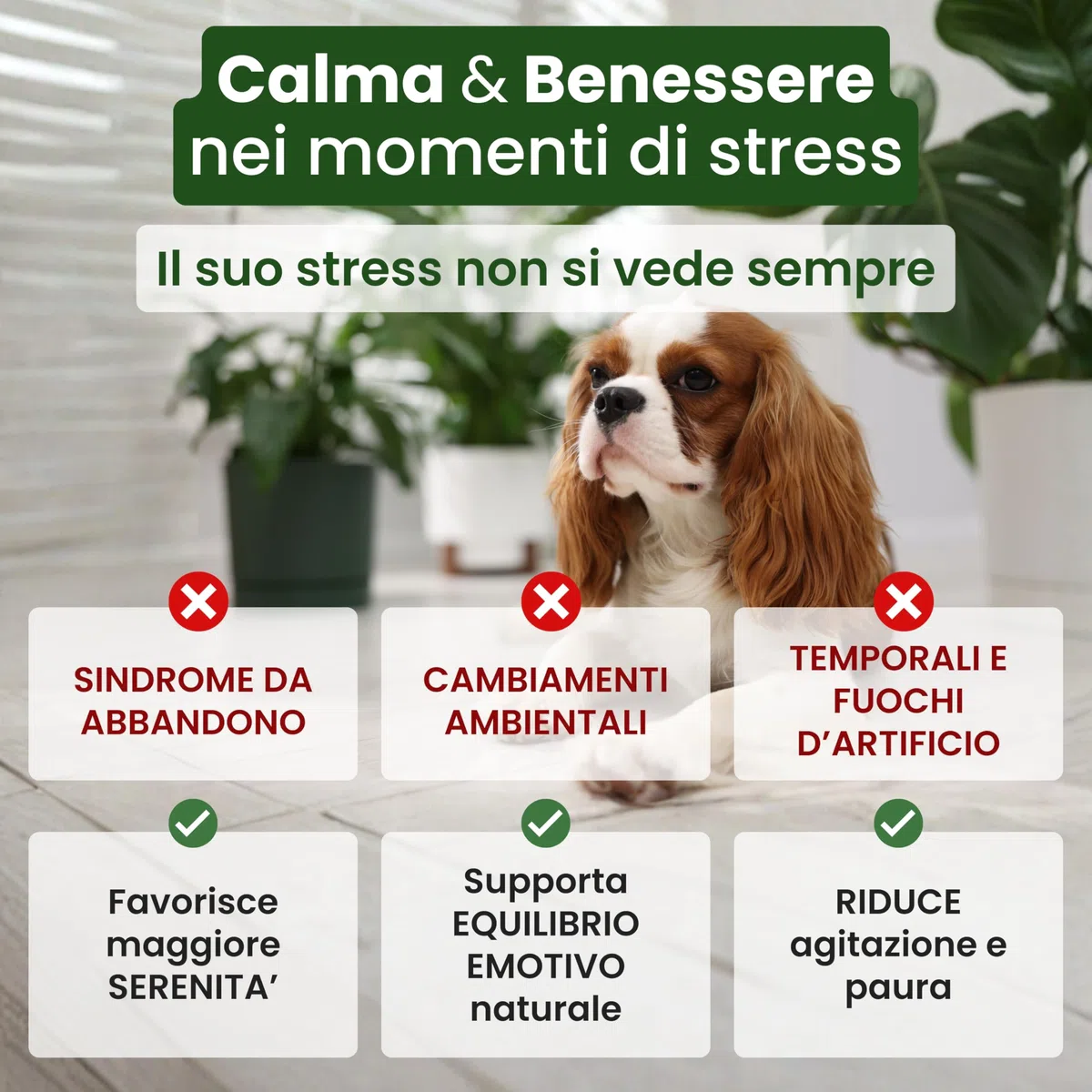 Trebifarma Lactorelax Tabs Chew per Cani – Calmante per Ansia, Stress e Agitazione con Triptofano, Valeriana e Passiflora – Rilassamento Naturale Rapido – 18 Compresse Gommose Appetibili