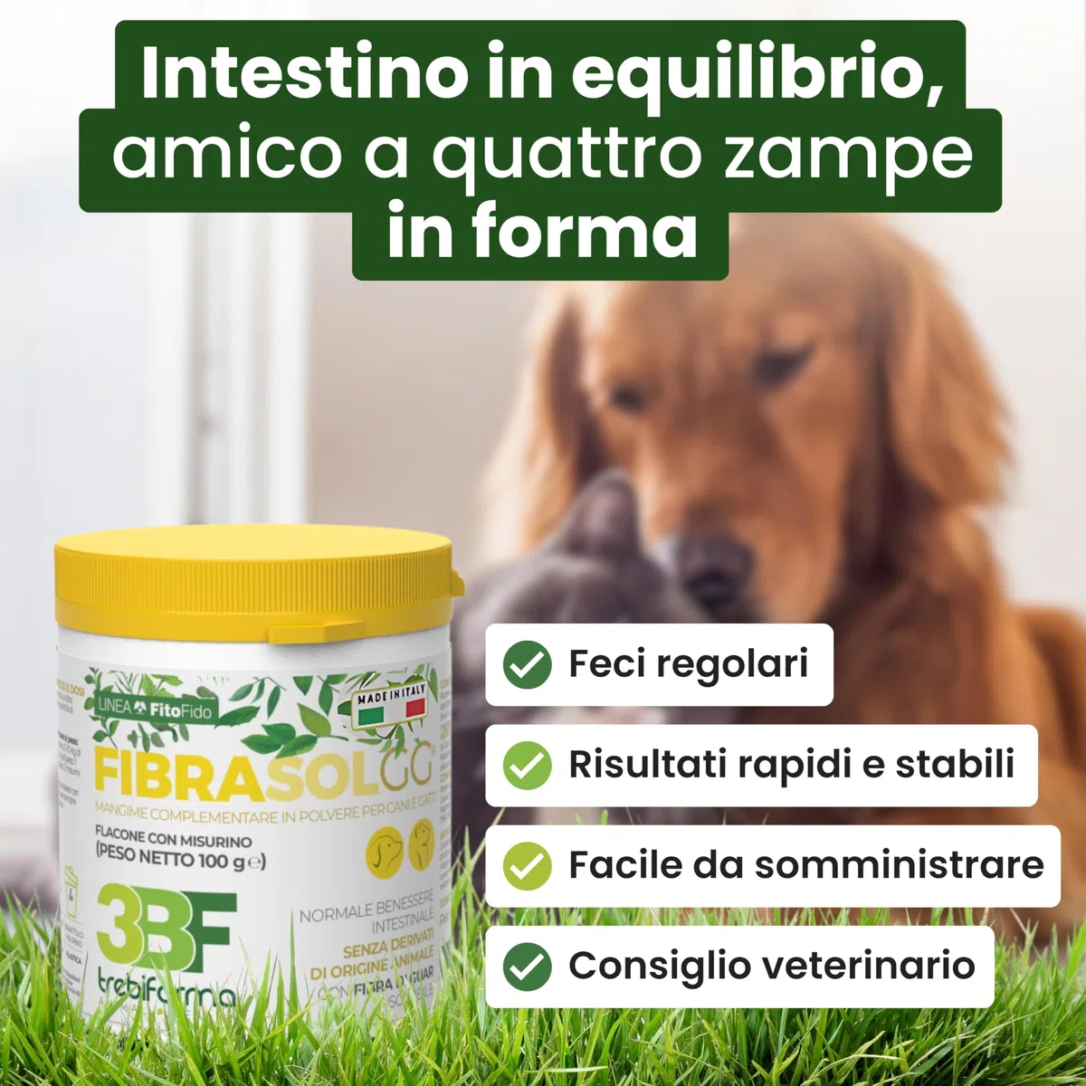 Trebifarma Fibrasol GG, Regolarità Intestinale di Cane e Gatto - Mangime Complementare in Polvere con Prebiotici Contro Diarrea, Colite e Stipsi - Facile da Somministrare – 100g