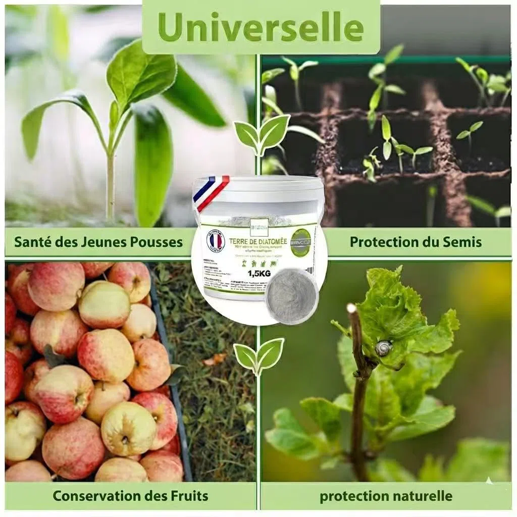 Terre de Diatomée – Cimica da letto – Utilizzabile in agricoltura biologica – 100% naturale e prodotto in Francia – Vermifugo gatto – anticimici (1,5 kg)