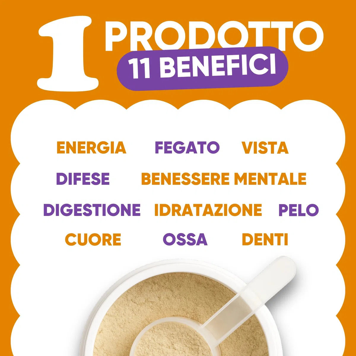 Integratore Multivitaminico Completo 11 in 1 | Integratore per Cani in Polvere (250g) | 20 Vitamine e Minerali e Moringa BIO | Senza Appetizzanti Animali | Dieta Casalinga | Made in Italy - WELLWOOF