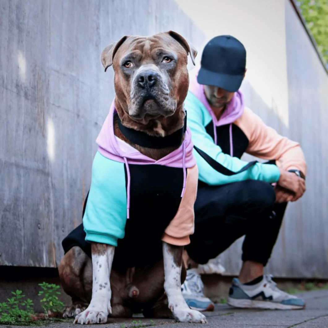 Spark Paws Felpa con Cappuccio per Cani – Maglione Premium per Cani di Piccola, Media e Grande Taglia | Abbigliamento Caldo per Bulldog Francesi, Pitbull, Cuccioli, Alternativa alla Giacca Invernale