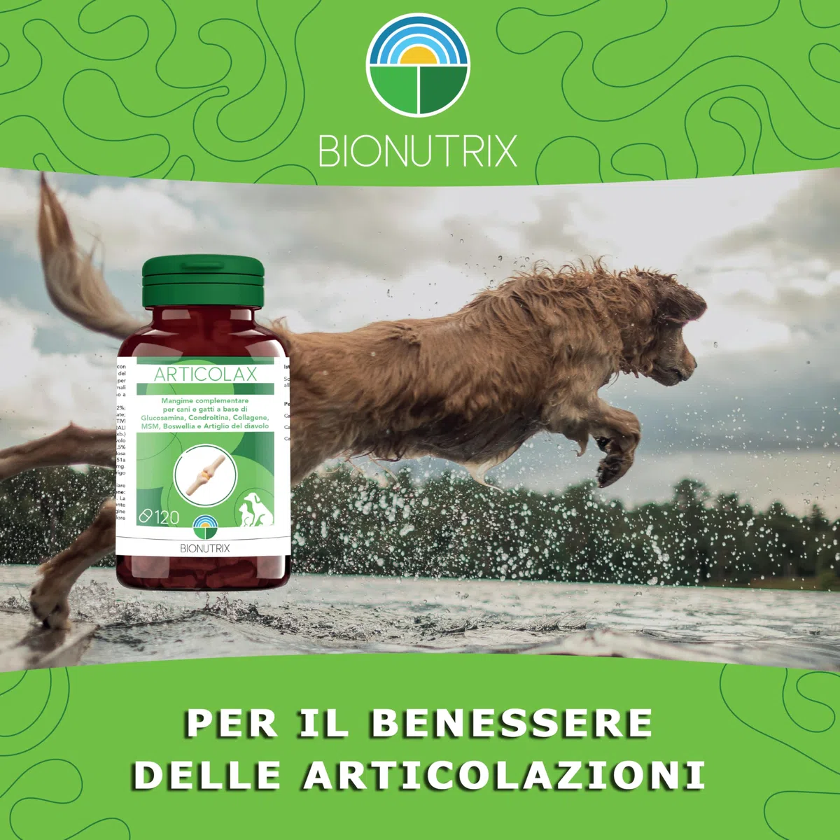 ARTICOLAX | Integratore Articolazioni Cane e Gatto | 120 CPR Appetibili | Alto Dosaggio | Antinfiammatorio | Glucosamina, Condroitina, Collagene, MSM, Boswellia e Artiglio del Diavolo | BioNutrix ®