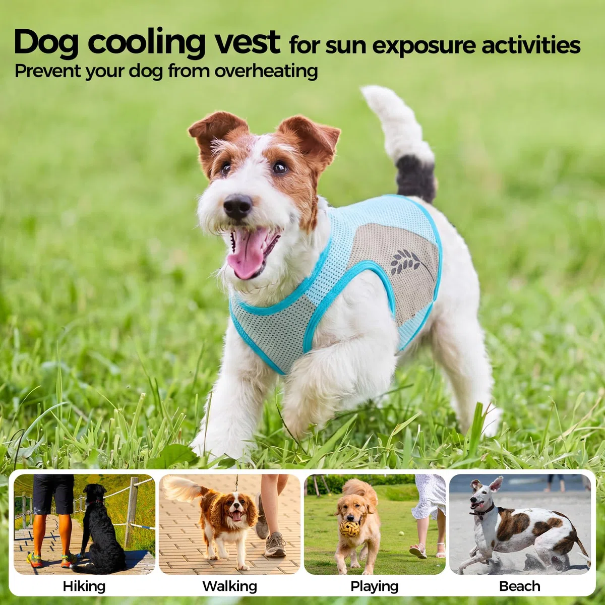 Giubbotto refrigerante per cani, grande, traspirante, estivo, fresco e confortevole, mantiene il vostro animale domestico fresco nella stagione calda (blu, 9XL)