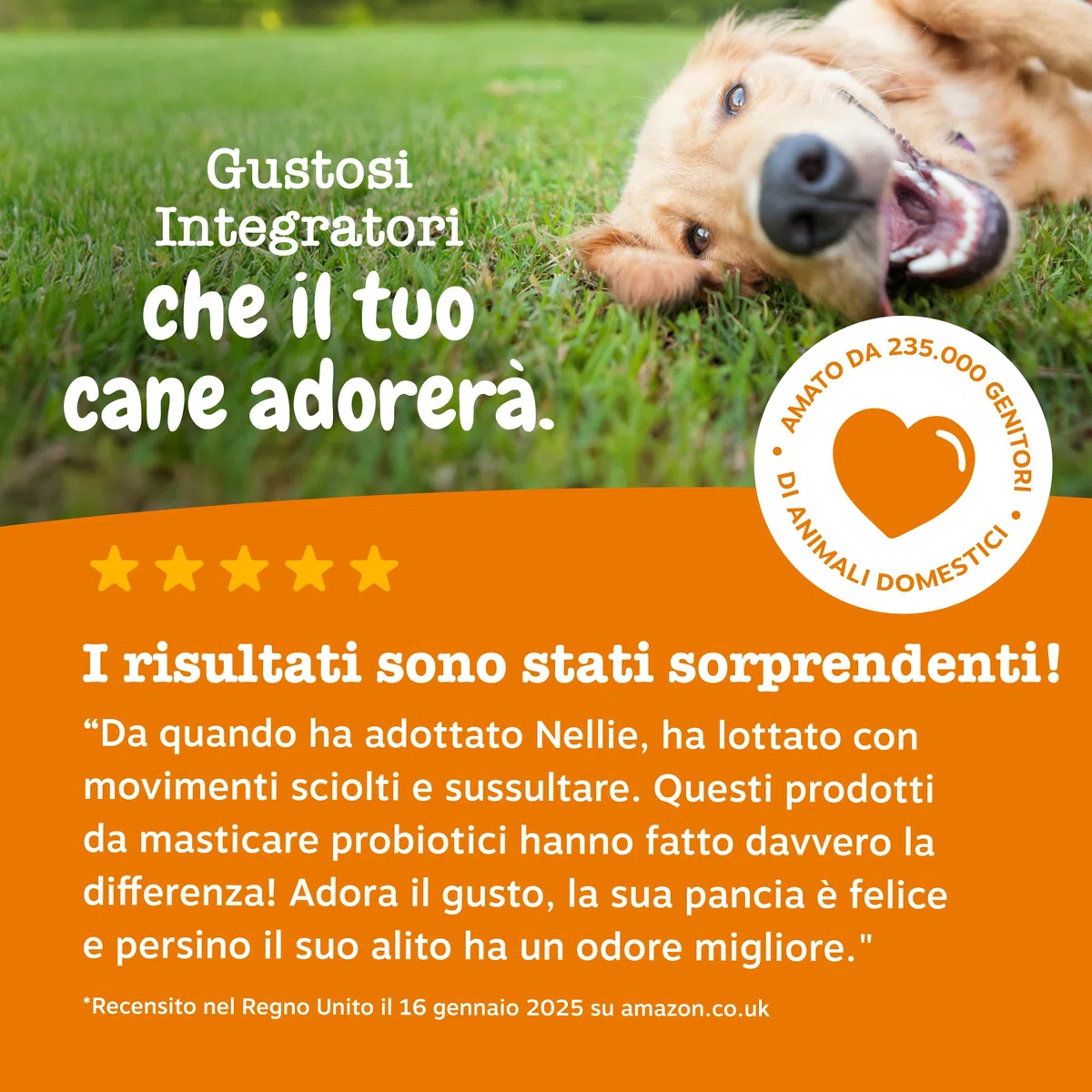 Zesty Paws Probiotici per Cani – Supporta Salute Intestinale, Digestione – con Pre, PRO e Postbiotici, Zucca e Semi di Lino – Equilibrio Digestivo – 90 Bocconcini