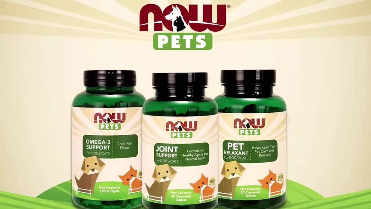 NOW Pets L-lisina per gatti, 226,8 g, supporto del sistema immunitario, perfetta per famiglie e pensionanti con più gatti