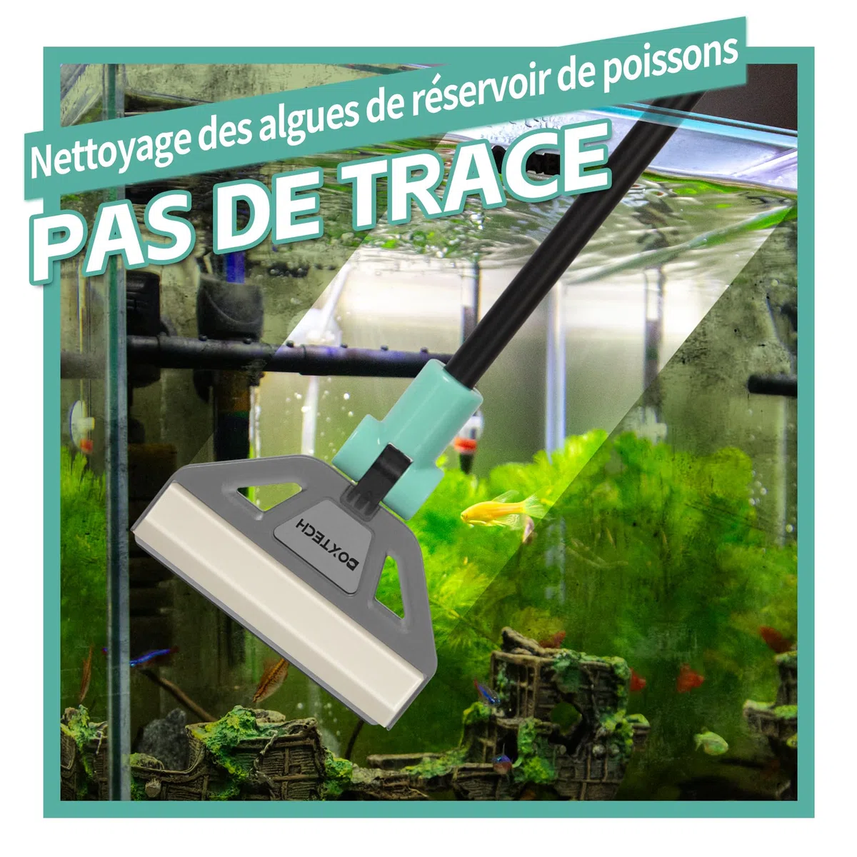 boxtech Raschietto anti-alghe, strumento di pulizia dell'acquario Kit - 5 lame in acciaio + spazzola, manico 50 cm per acquario in vetro
