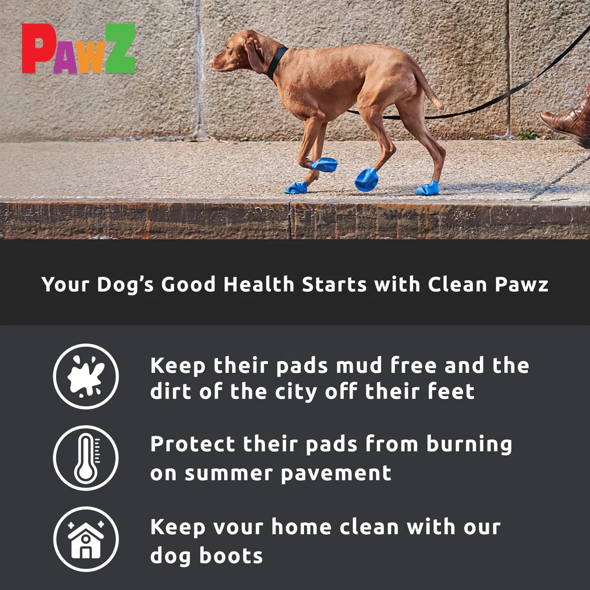 PAWZ Scarpette Nere M