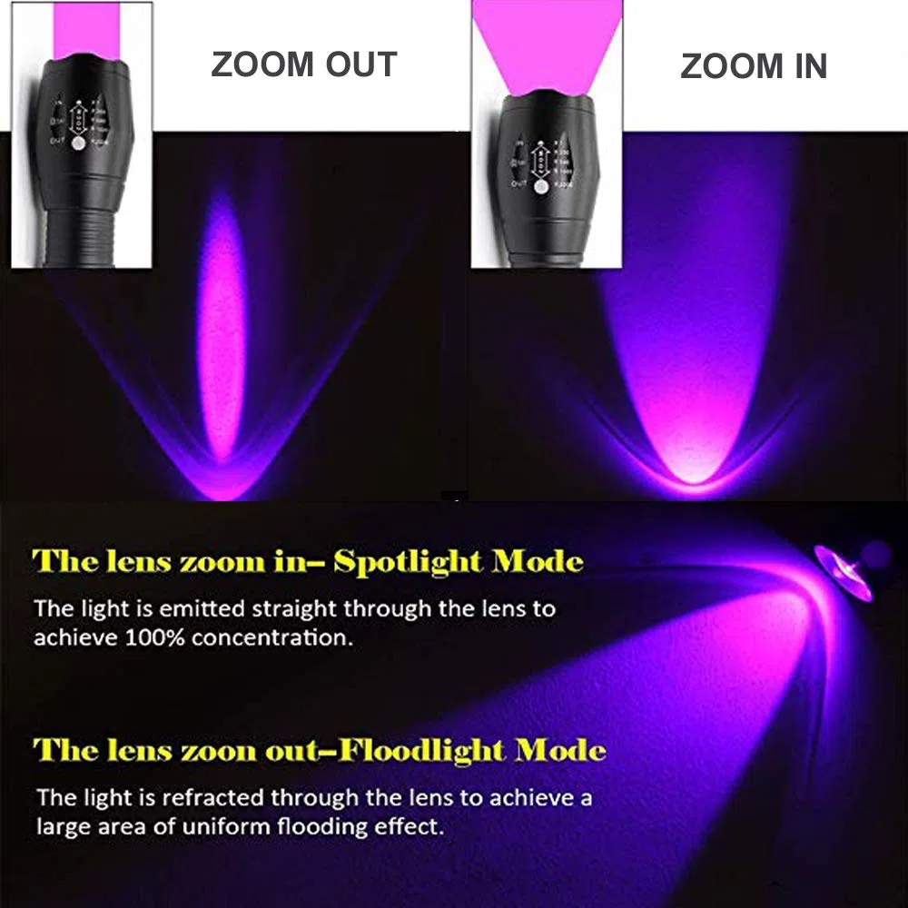 Torcia UV, 365nm e 395nm UV Torcia a Raggi Ultravioletti Zoom Capace Blacklight Doppia Sorgente UV Rilevatore di Urina per Animali Domestici Verifica dei Documenti Scorpioni Arte Fotografia