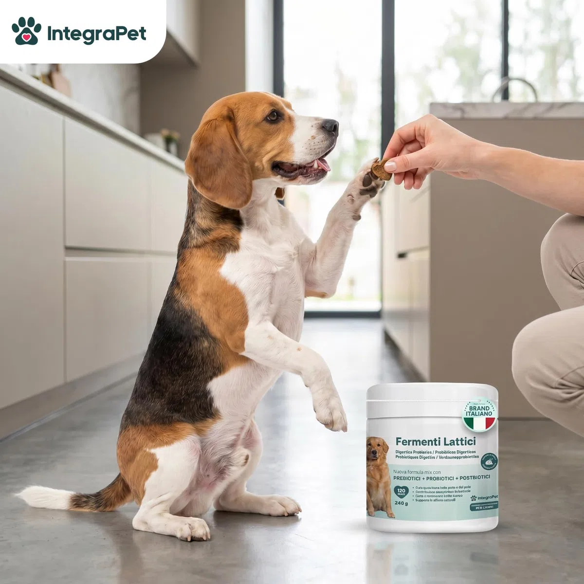Probiotici Cane Prurito e Alito Cane – Probiotici e Prebiotici Digestivi Snack Naturali, 120 Masticabili Gusto Pollo, Prodotti per Cani per Benessere Intestinale e Pelle