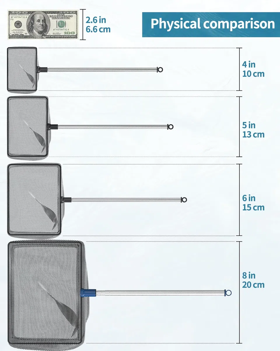 Pawfly Rete Per Pesci D'acquario Con Manico Telescopico In Acciaio Inox 20 Cm Grande Rete Quadrata A Maglie Fini Morbide Fanghi Residui Alimentari Rifiuti