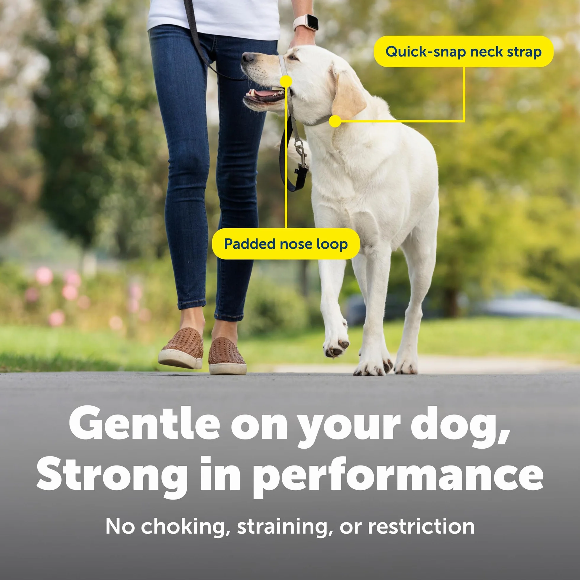 PetSafe Gentle Leader Head Collar con Dvd per Allenamento