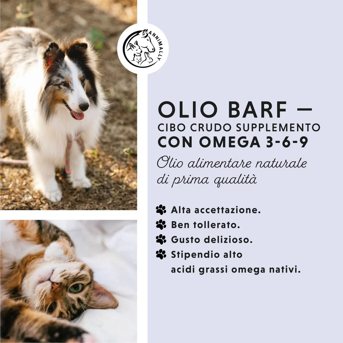 Olio BARF per cani 500 ml Olio Barf con Omega 3-6-9 composto da: olio di salmone, olio di colza, olio di canapa e olio di borragine - olio per alimentazione canina da utilizzare come condimento