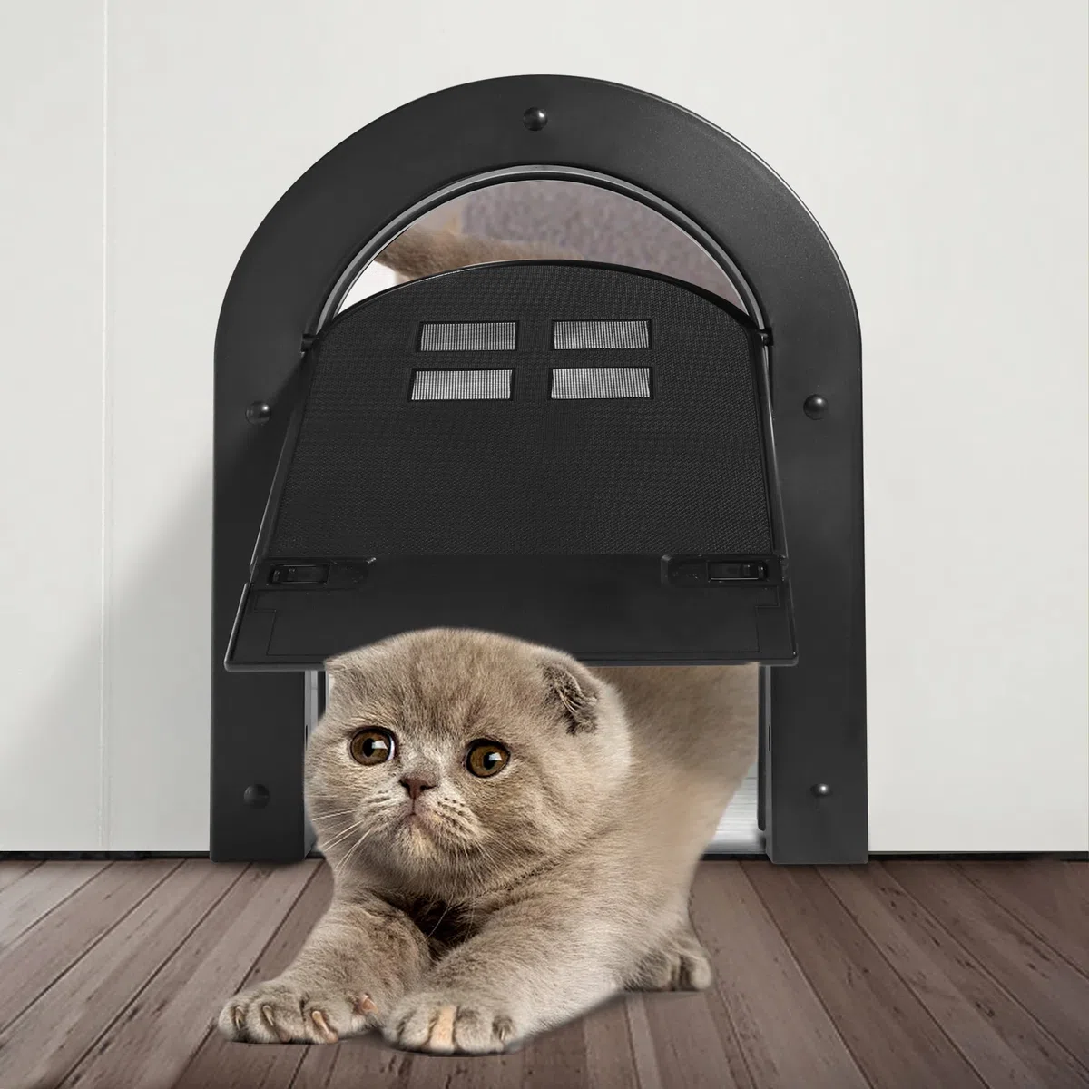 Wordcam Porta interna per gatto, 2 vie, con chiusura a 2 vie, per gatti fino a 9 kg, porte per animali domestici, per gattini e cani di piccola taglia (nero)