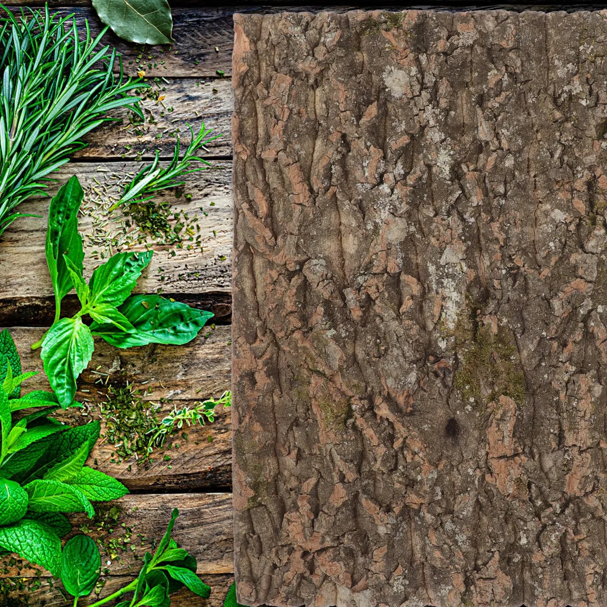 SUPVOX Decorazione Terrario Rettili Corteccia Sughero Naturale, Piattaforma per Rettili Sicura per Arrampicata, per Abbellire Ambienti Lucertole e Animali Domestici