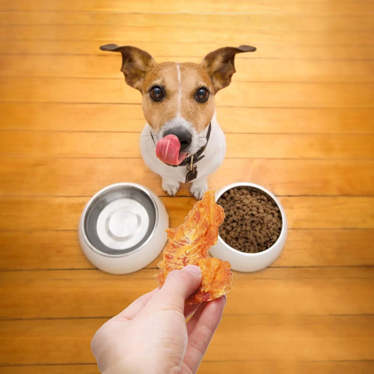 Nobleza - Dolci per cani, petto di pollo di alta qualità, carne secca naturale senza additivi, dolcetti per l'educazione dei cuccioli, confezione da 6, 600 g