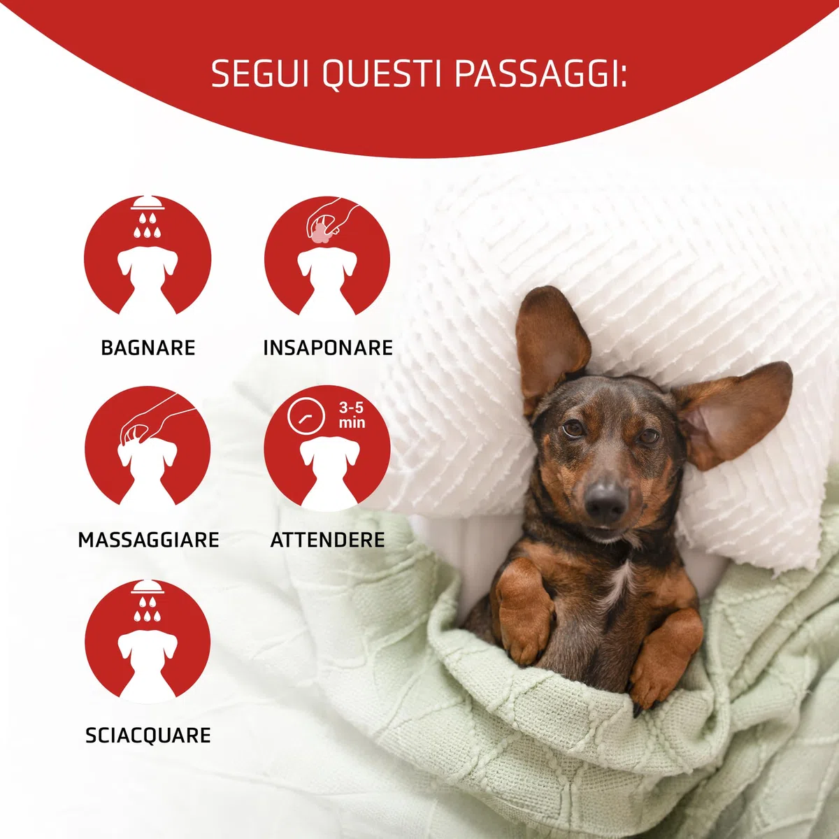 Artero Scarlet Vital Maschera Intensificante Colore per Cani Tonalità Rosse, Marroni, Cioccolatini e Apricot. 100 ml