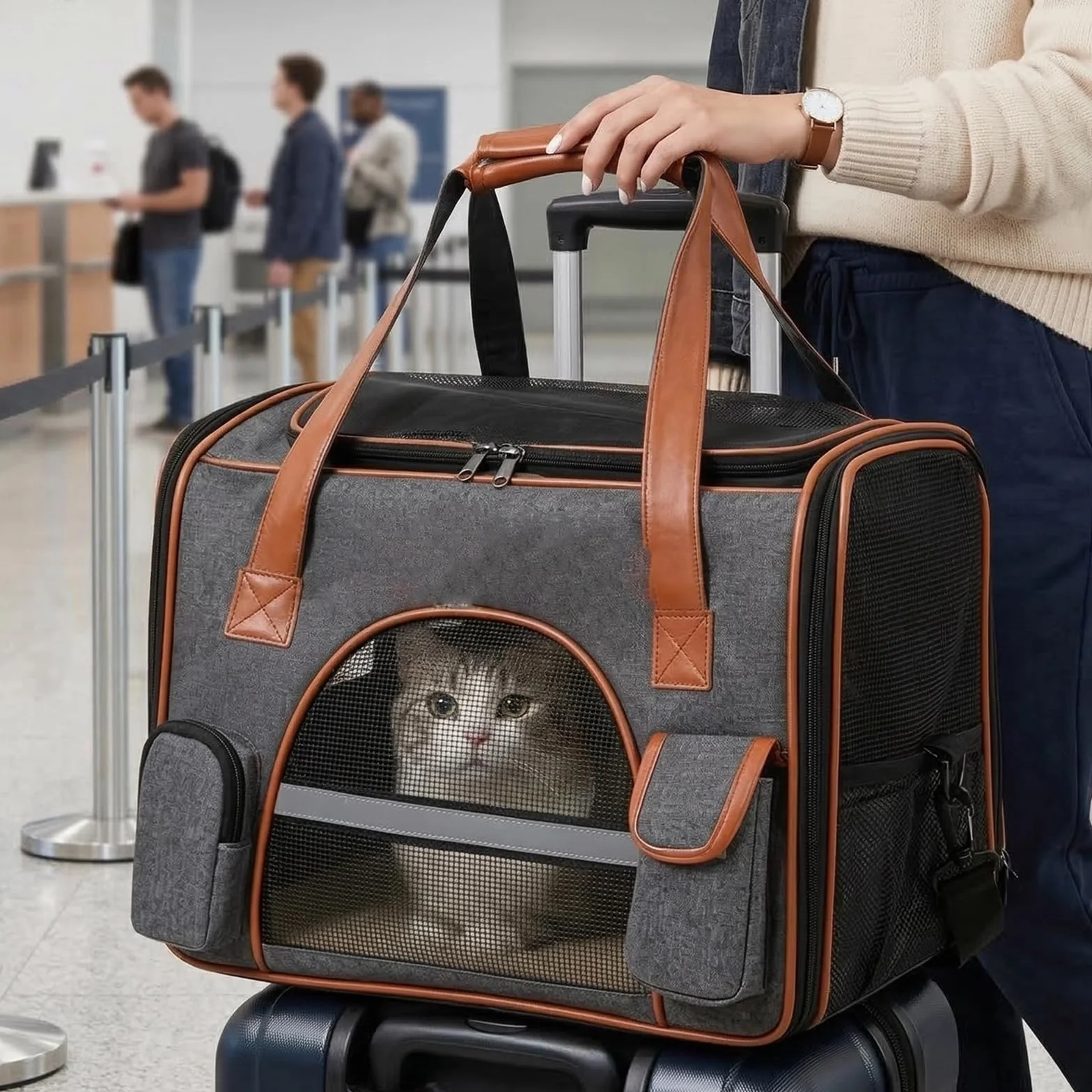 Borsa da Trasporto per Gatti e Cani, Borsa per il Trasporto di Gatti e Cani fino a 6,5 kg, Trasportino per Gatti con Spallacci e Maniglia, Borsa Pieghevole per Piccoli Animali Domestici Gatti e Cani