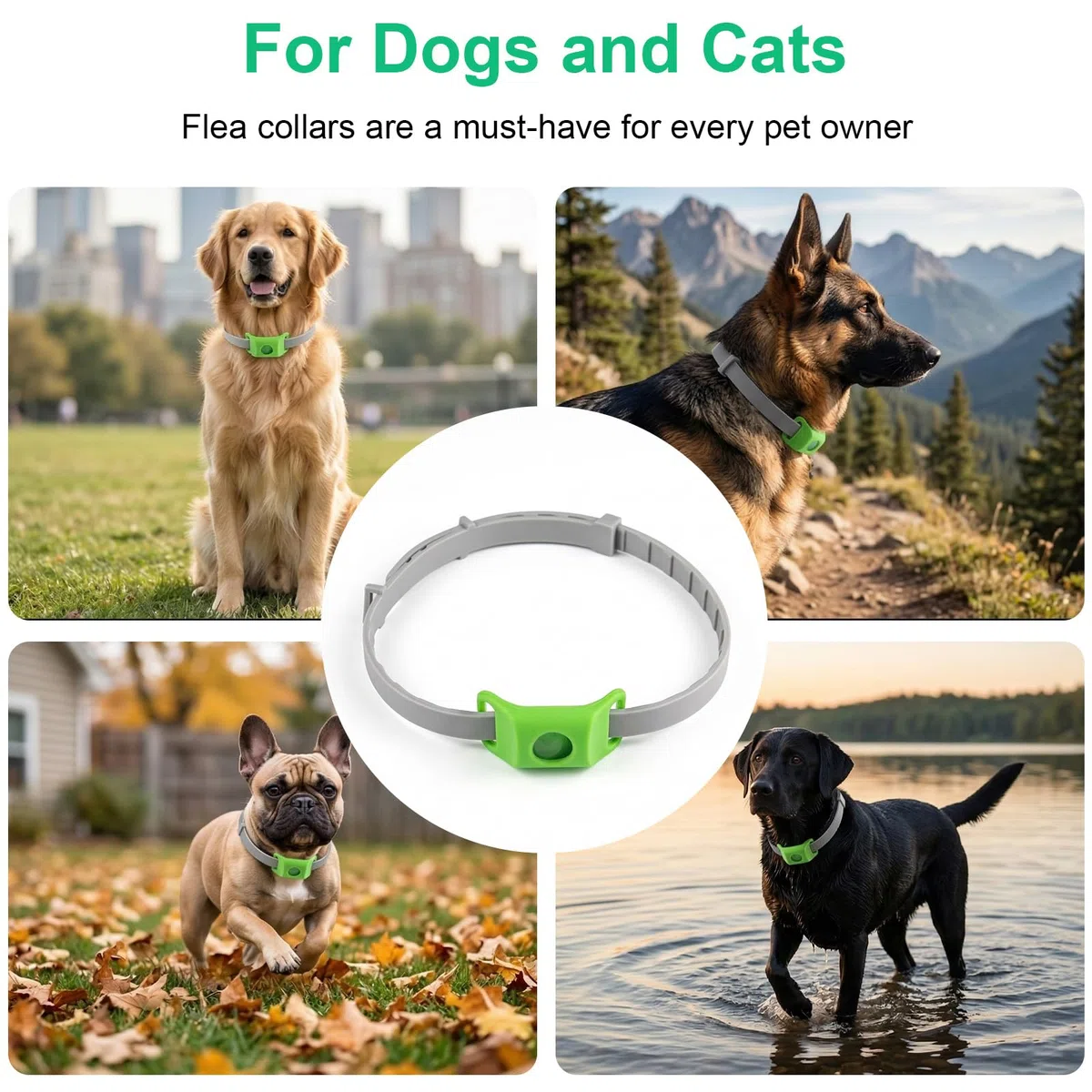 Collare Antipulci Cane,Collare Antipulci per Cani Impermeabile,Collare Antipulci e Zecche per Cani Naturale,Aquality Pets Collare Antiparassitario Natural, Ingredienti 100% Naturali