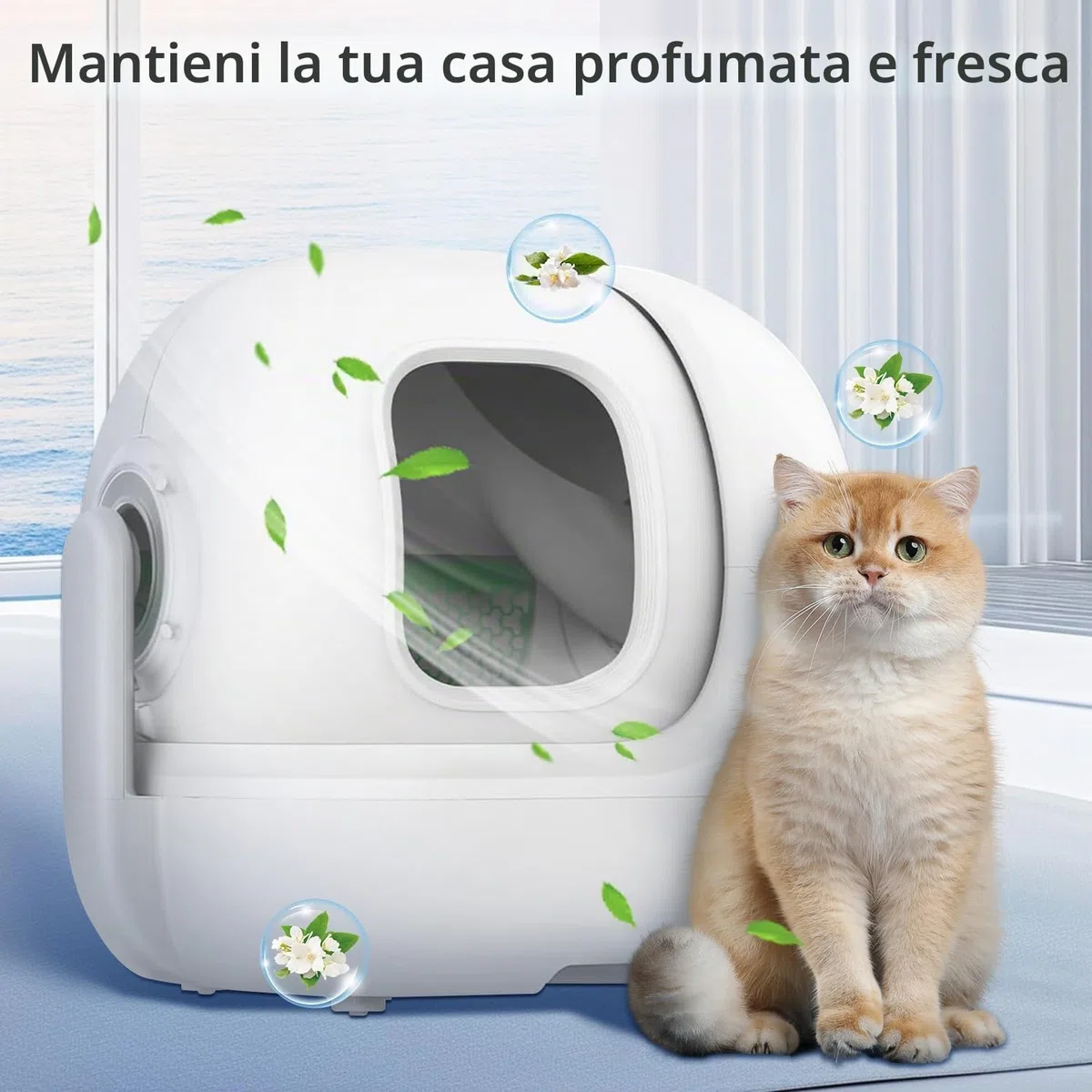 Deodorante N50 per Lettiera Autopulente Pura Max/PURA MAX 2 Rimuove Gli Odori Della Lettiera Del Gatto, Rimuove gli Odori di Urina e Feci Del Gatto (Confezione da 6) Imballaggio vecchio/nuovo a caso