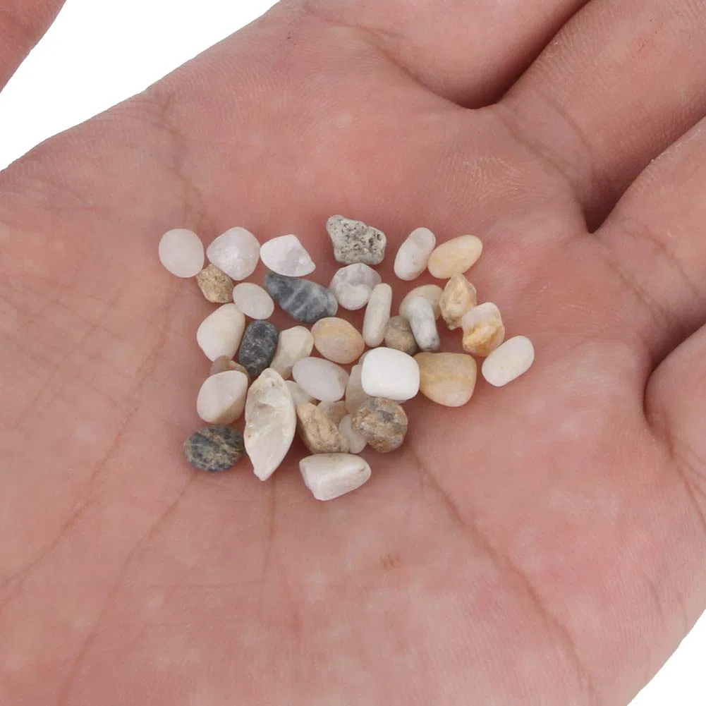 Jenngaoo Sabbia per Acquario, Pietra di Sabbia Naturale Ghiaia Decorazione Paesaggistica Serbatoio per Tartarughe Sabbia di Fondo per Acquario Vaso di Fiori Accessori per Riempitivi di Acqua Dolce