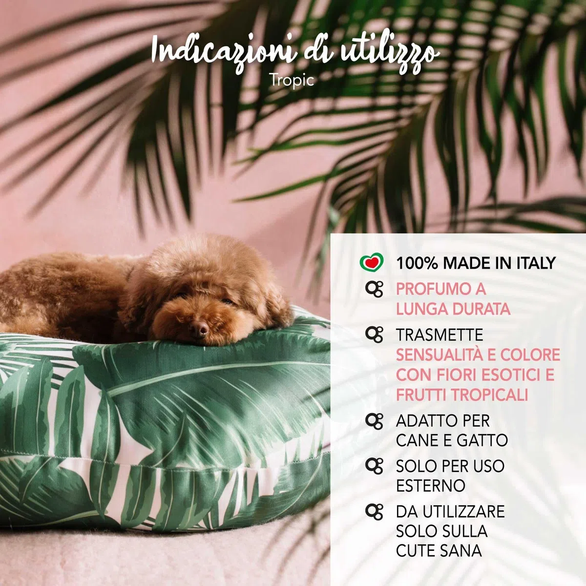 YUUP! - Fragranza TROPIC a lunga durata per cani e gatti, 100 ml, profumo per cane e gatto con note di ananas, maracuja, papaya, frangipani, ibisco e orchidea