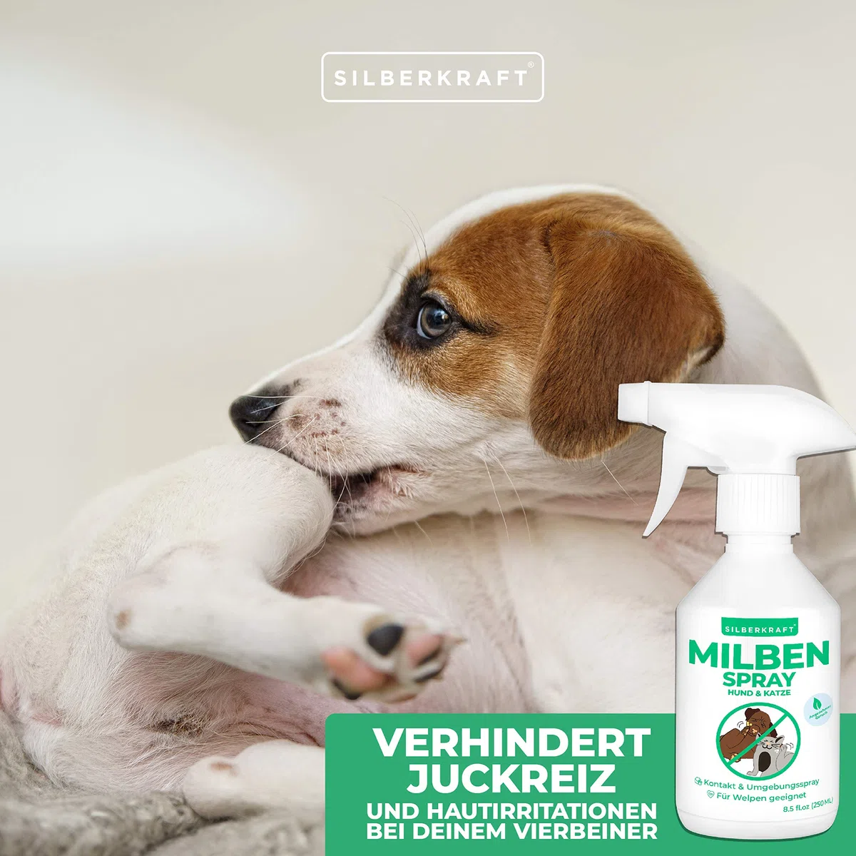 Silberkraft - Spray antiacaro per cani e gatti, 250 ml, affidabile antiacaro per cani, gatti, roditori e altri animali domestici, efficace e utile antiacaro
