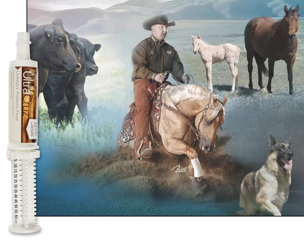 UltraCruz Livestock Probiotic Supplement, 60 ml Paste