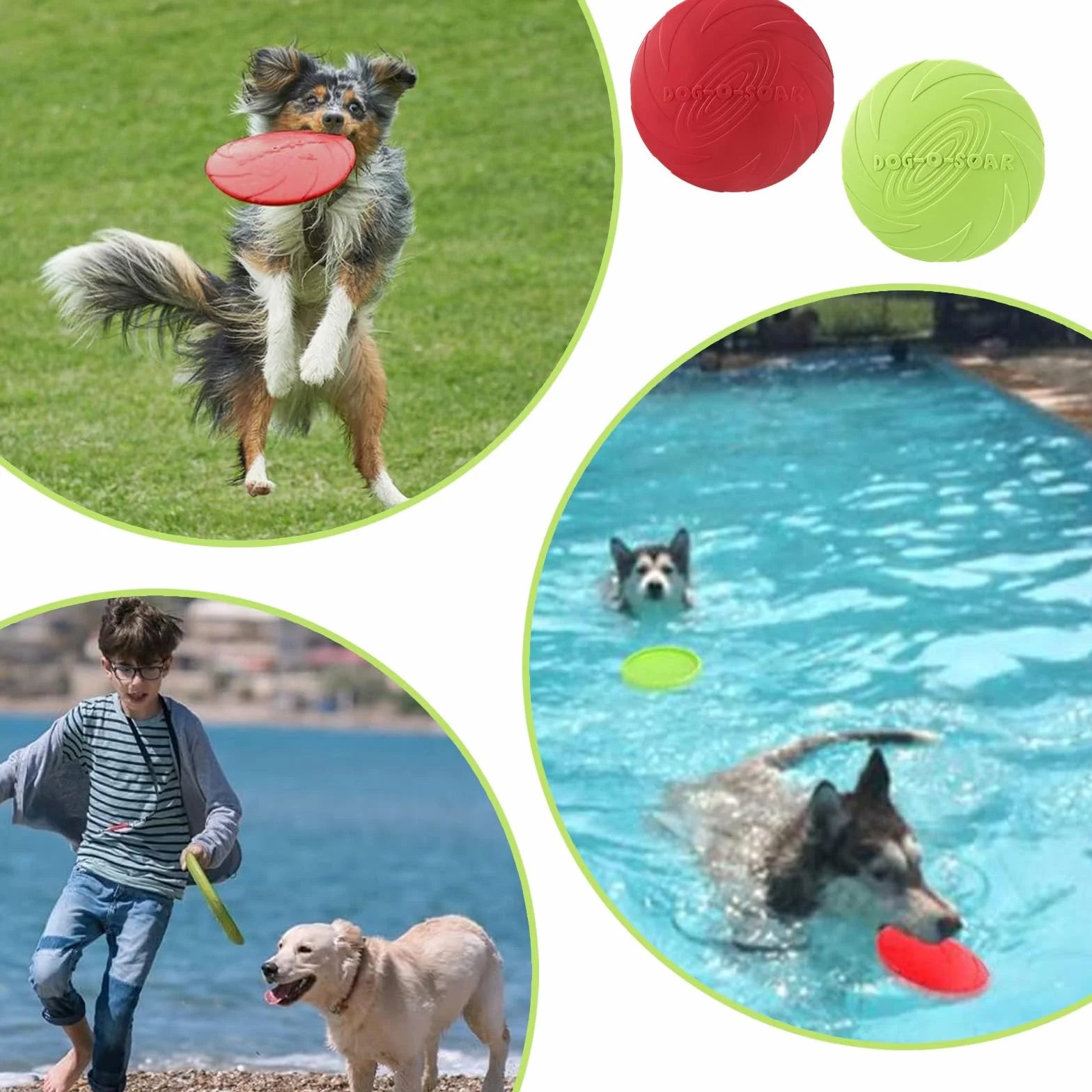 Confezione da 2 frisbee per cani da 18 cm,Frisbee di Gomma, ottimi per l'addestramento degli animali domestici (rosso e verde)