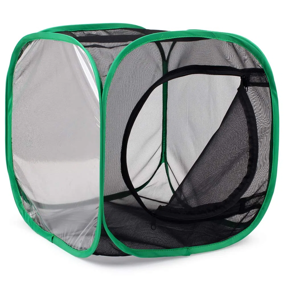 RESTCLOUD Insetto e Farfalla Habitat Cage Terrarium Pop-up 32 x 30 x 30 cm