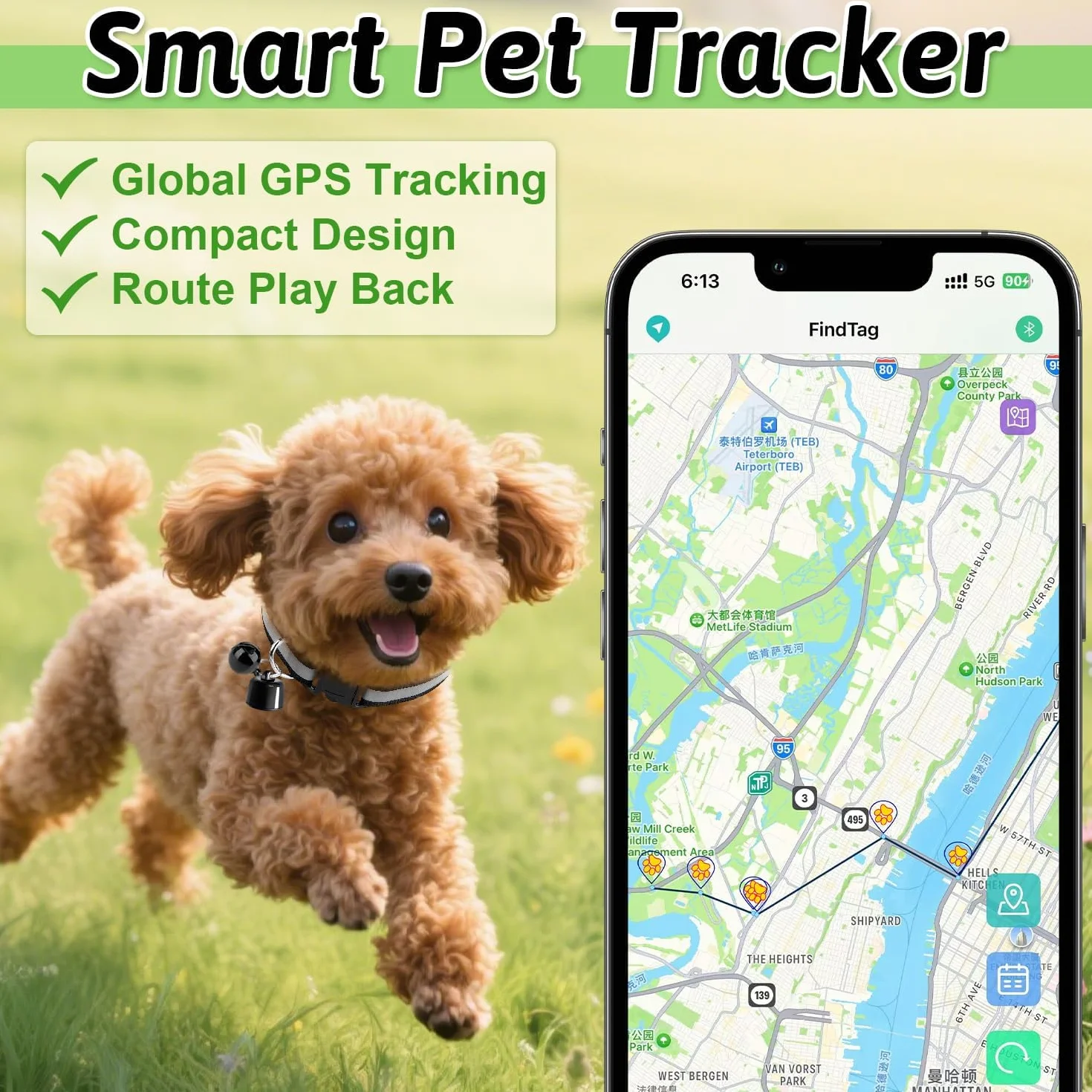 Localizzatore GPS Cane, GPS per Cani e Gatti, Collare GPS Gatto Tracker Compatibile iOS Android, Senza Abbonamento, Tracker per Chiavi Bagagli e Animali Domestici (B)