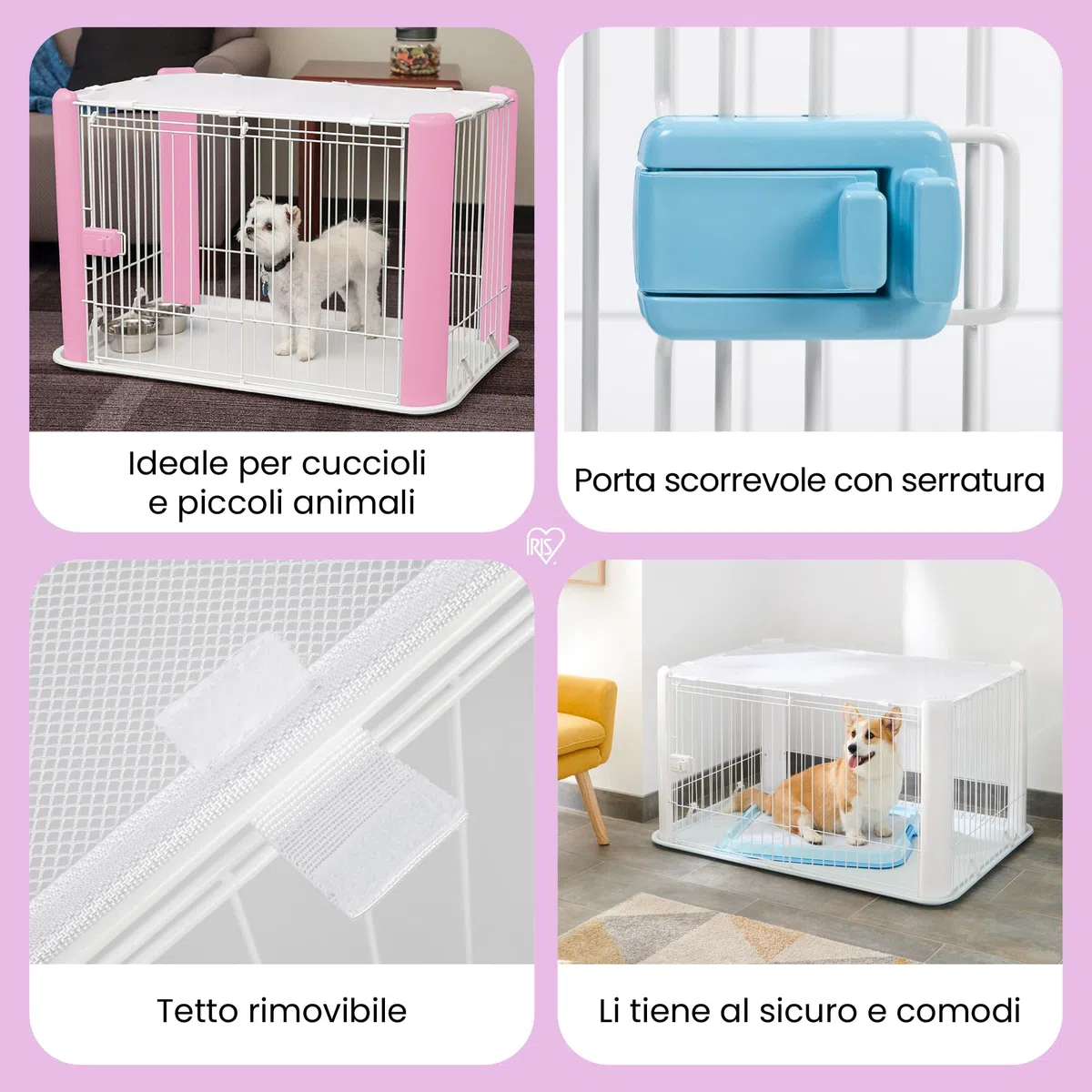 Iris Ohyama, Box, Cassa per cani, Coniglio, Porta scorrevole, L113 x P78,8 x H60 cm, CLS-1130, Bianco