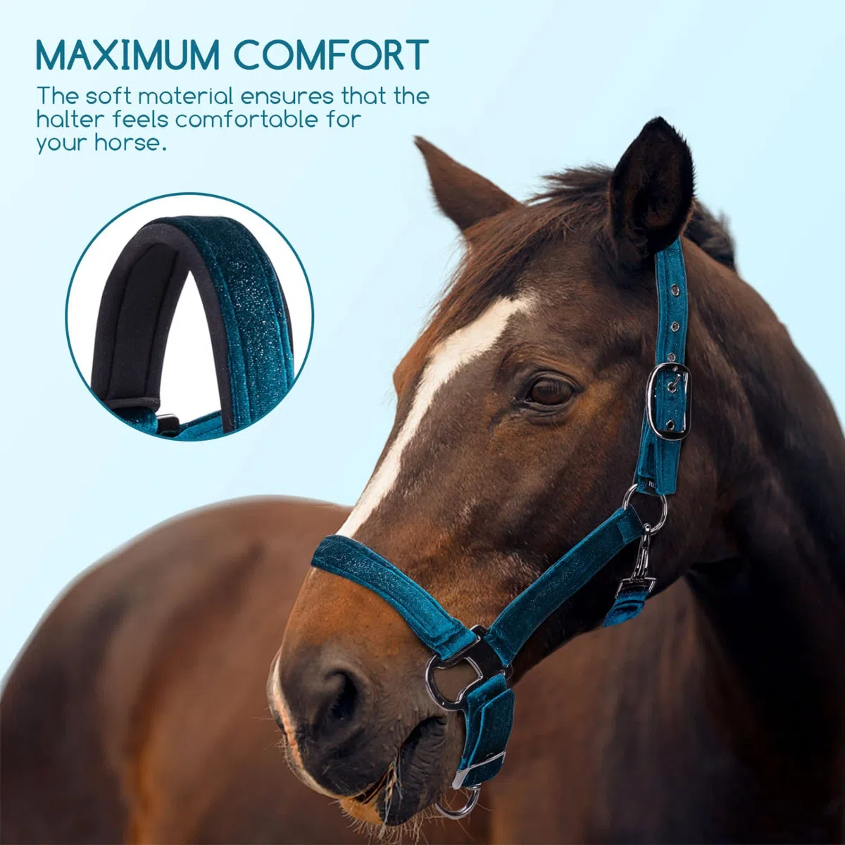 Nobleza - Cavezza per Cavallo, capezza Imbottita per Naso e Collo, per Allenamento equestre(Colore Verde)