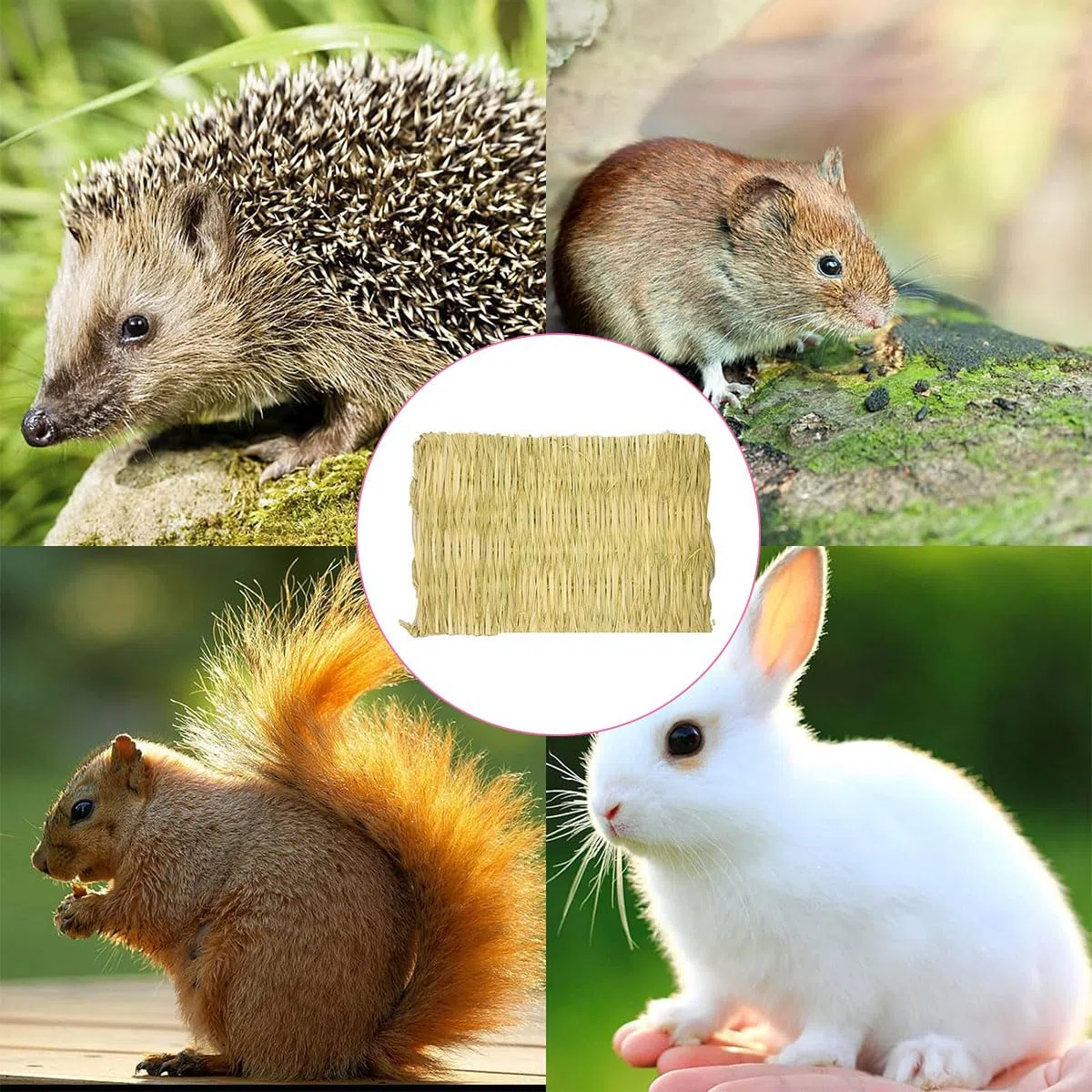 Tappetino Erba Naturale per Conigli, Tappetino per Piccoli Animali, Piccolo Tappeto Erboso Piccoli Animali Domestici Giocattolo da Masticare Letto Tappetini Intrecciata di Fieno Erba Pastiglie, 2 Pz.