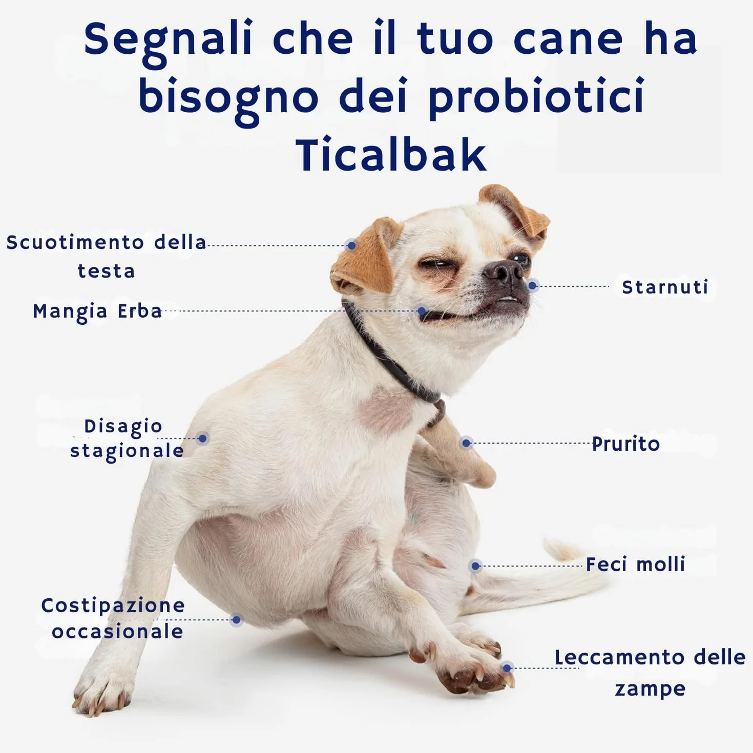 Probiotici per cani, Fermenti lattici,Miglioramento della digestione e del sistema immunitario, 120 snack, Consigliato da veterinari, salute digestiva, pance sensibili, prurito,enzimi