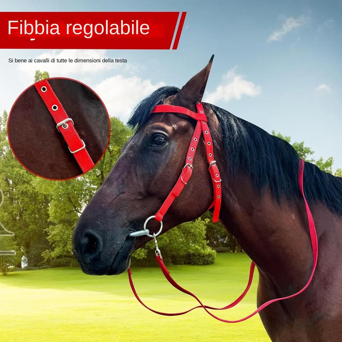 Testiera Briglia Da Addestramento Per - Testiera Regolabile, Set Di Briglie In Corda | Testiera E Redini Per , Briglia Da Equitazione Con Corda Per Equitazione In Scuderia, Accessori Pe