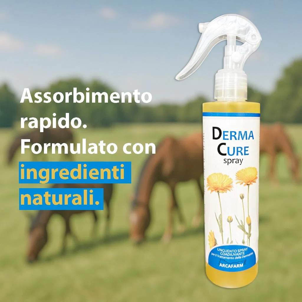 Spray Dermatite Cavalli DermaCure Arcafarm 250 ml - Trattamento Naturale per eczemi, irritazione pelle, arrossamenti, dermatite estiva recidivante cavallo, prurito cute - supporto per ricrescita pelo