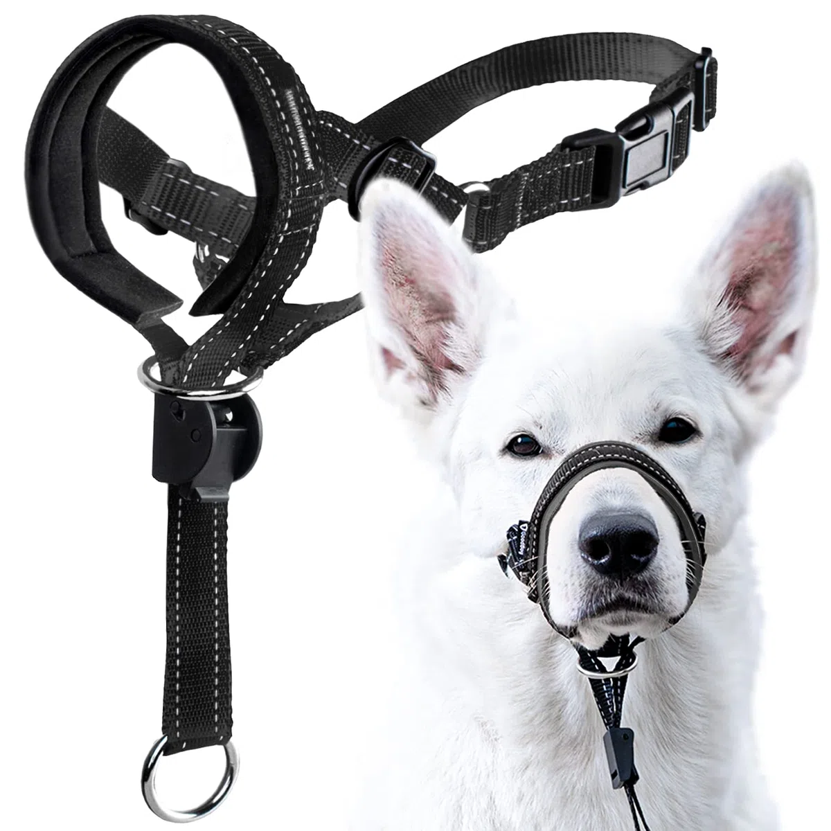 GoodBoy Capezza del cane con cinghia di sicurezza – Ferma pesante tirando sul guinzaglio – Collo imbottito per cani di piccola taglia media e grande – Guida per l'allenamento del collare della testa