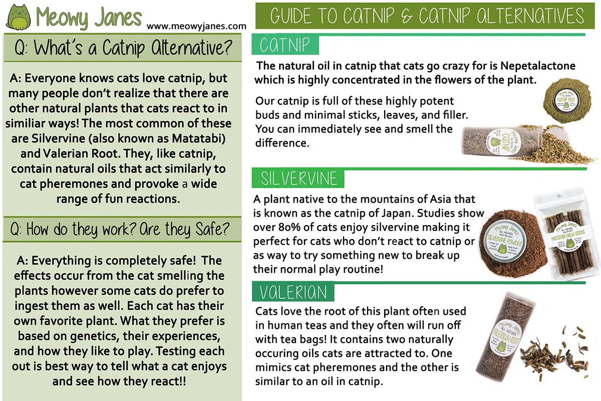 Meowy Janes All Natural Magic Cat Play Polvere - Miscela di polvere di erba gatta e Silvervine - Giocattolo per gatti a secco