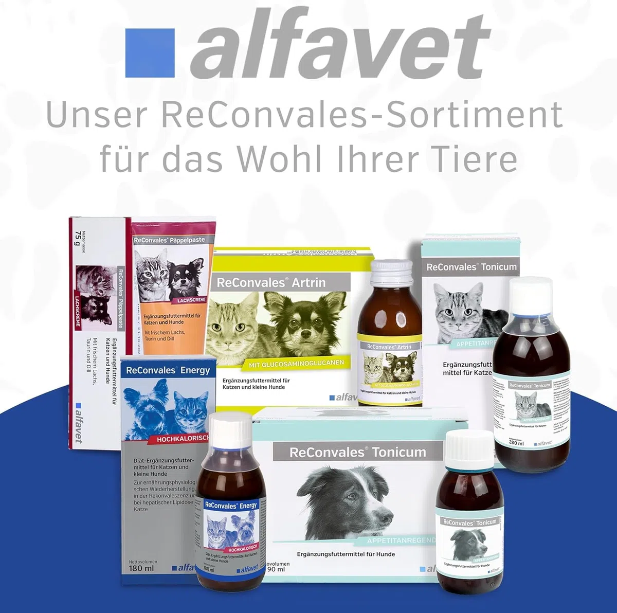 alfavet ReConvales Energy, confezione doppia, in convalescenza, sottopeso e lipidosi epatica del gatto, ad alto contenuto calorico, 2 x 180 ml