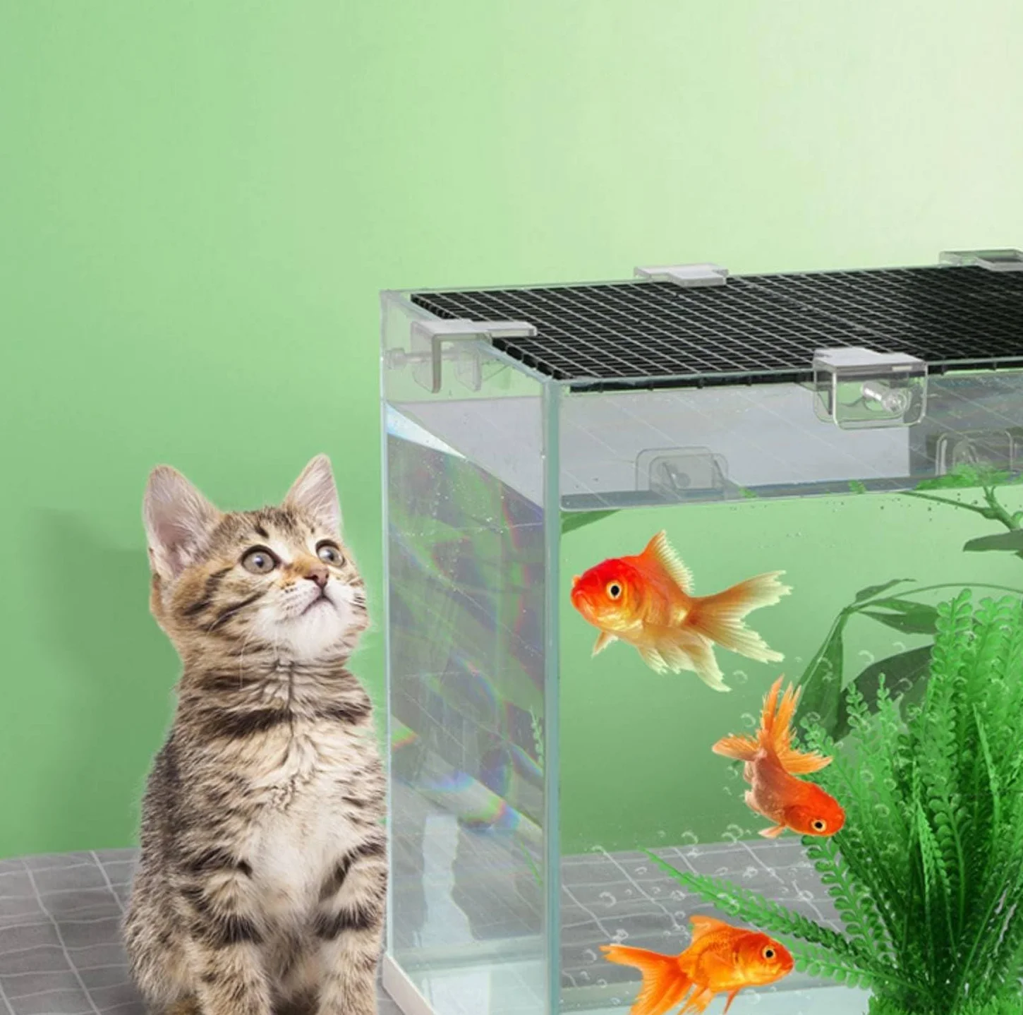 Set di protezioni salto per acquario, 8 pezzi, 30 x 30 cm, divisorio per acquario, con 6 supporti e 20 fascette per cavi, griglia in plastica, copertura per acquario, accessorio per acquario