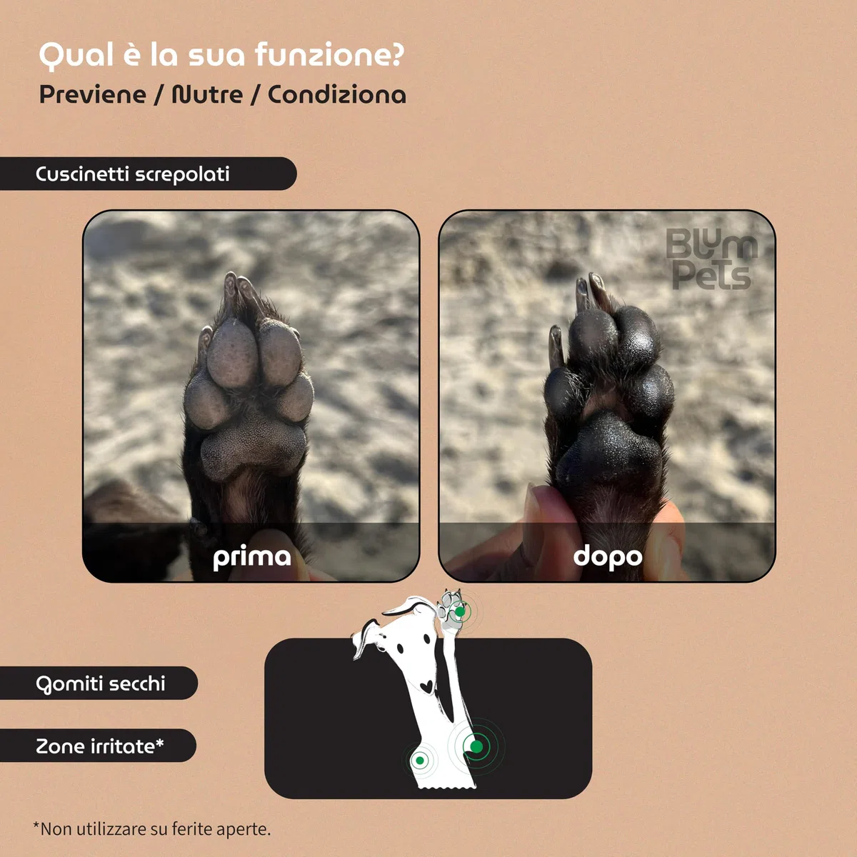 La Routine delle Zampe - Kit Balsamo Polpastrelli Cane in Stick Asciugamano in Microfibra e Astuccio Regalo Vegano Naturale Idrata e Protegge la Pelle Screpolata Sicuro da Leccare